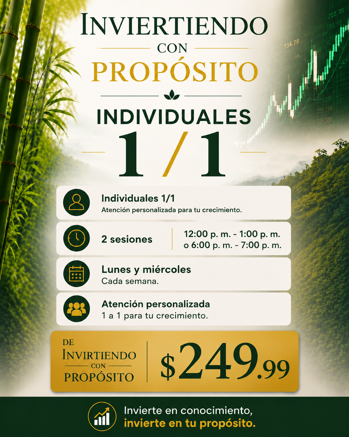 Curso Individuales 1/1