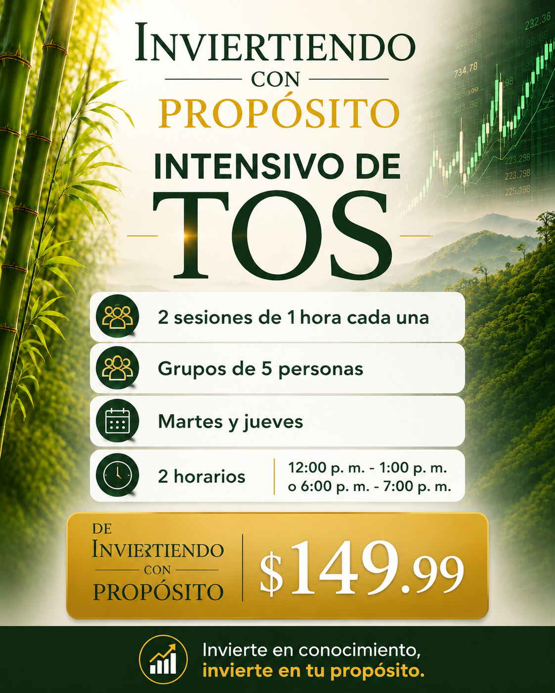 Curso Intensivo de TOS